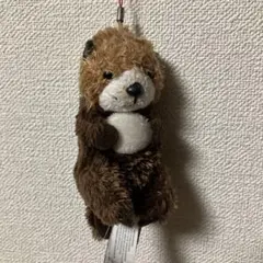 ラッコ ぬいぐるみ AURORA