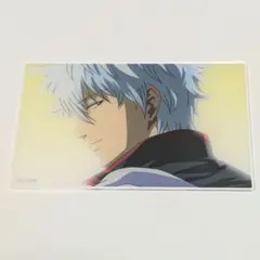 銀魂 金魂 オンシアター 2D アクリルカード カード 銀時2