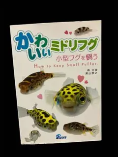 2026年最新】ミドリフグの人気アイテム - メルカリ