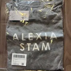 ALEXIA STAM × NERGY ビッグロゴTシャツ グレー