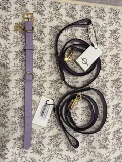 Item thumbnail for item 7b65d2dd-15d8-4449-bfaa-7a3f9ace7f00