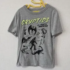 Item thumbnail for item e3461128-7d61-4ac7-a214-38d1dac21417