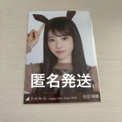 2026年最新】乃木坂 生写真 矢田の人気アイテム - メルカリ