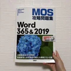 MOS攻略問題集Word 365&2019のサムネイル