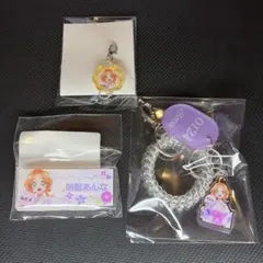 名探偵プリキュア 極楽湯 コラボ ロッカーキー風キーホルダー 明智