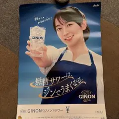 吉岡里帆 特大 ポスター 両面 B2サイズ ジノン GINON 非売品 5枚