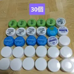 ペットボトルキャップ 30個 工作などに～