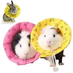 Item thumbnail for item 8bf76320-b1e0-487b-96f7-b75f54d47db9