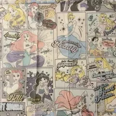 ✔ディズニープリンセス アメコミ風 はぎれ生地