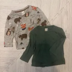【H&M】74cm 長袖 Tシャツ 2点セット 動物　グリーン