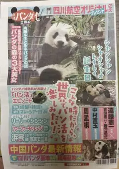 日刊パンダイ 2頭め パンダ特集号