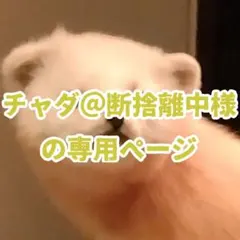 チャダ＠断捨離中様の専用ページ