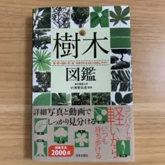 Item thumbnail for item b29307ca-12d7-4ad2-a1cd-b4c692450f1b