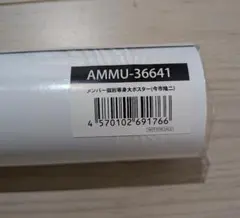 三代目JSB メンバー個別等身大ポスター 今市隆二