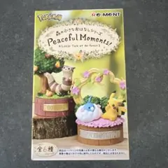 【新品未開封】ポケモン フィギュア Peaceful Moments!