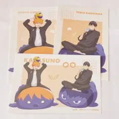ハイキュー ジャンフェス ポストカード 烏野高校 セット