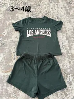 Item thumbnail for item 5919f06d-6e73-4796-a93c-69045e8a928b