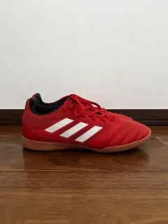 Item thumbnail for item 6ccd51a1-3d1e-4f45-9632-97a56442c288