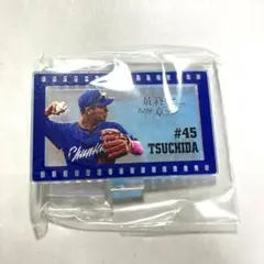 中日ドラゴンズ 土田龍空 ミニアクリルスタンド ビジター ドラゴンズガチャ