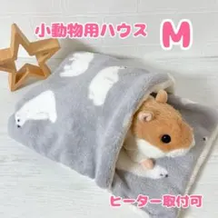 Item thumbnail for item 086bba72-3149-4115-ab25-3d3ea8c36df1