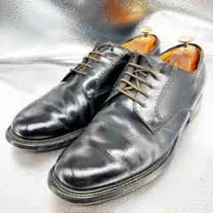 ★REGAL リーガル★プレーン/25.0EE/ビジネスシューズ/革靴/黒