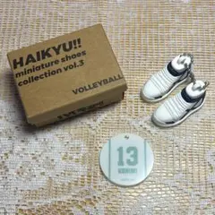 ハイキュー!! ミニチュアシューズコレクション　vol.3 国見英