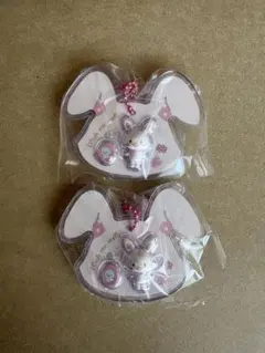サンリオ　パッケージチャーム　ウィッシュミーメル