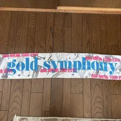 AAA ARENA TOUR 2014 gold symphony タオル