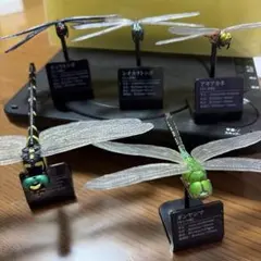 海洋堂 ソフビトイボックス ツチノコ(槌の子) 未開封 - メルカリ