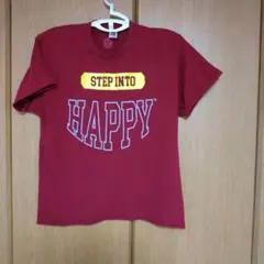 ズンバ Tシャツ