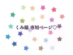 くみ様 専用ページ♡