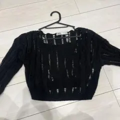 ZARA ショート丈シアーニット