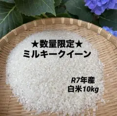 数量限定★ミルキークイーン 白米10kg お米10キロ 米10kg ④のサムネイル