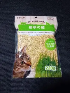 Item thumbnail for item 91d5bb86-cae5-45ae-b58f-5b9ca9cef20d