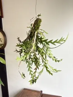 sheep♪様 リクエスト 2点 まとめ商品