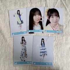 日向坂46 坂井新奈 生写真 まとめ売りのサムネイル