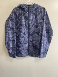 Item thumbnail for item 295801fd-67f6-4c90-a221-66bde5a0f0e6