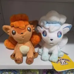 ポケモン ロコン アローラロコン fit ぬいぐるみ 片方タグ付きのサムネイル