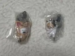 SKZOO つまんでつなげてますこっと vol.2 ジニレットとフォクシニー