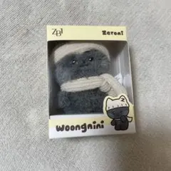 WOODZ DAY MOODI PLUSH KEYRING スンヨン - メルカリ