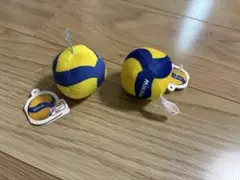MIKASA バレーボール　ぷちマスコット　キーホルダー　2個セット