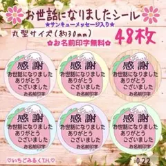 O22 お世話になりました感謝入シール 苺うさぎちゃん 丸型 6色48枚セット