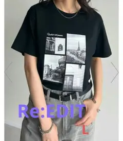 Re:EDIT/リエディ シーンナリーフォトプリントTシャツ L