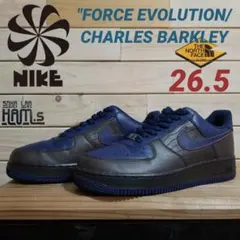 新品　07 ナイキ　チャールズバークレー　エアフォース1　プレミアム　26.5