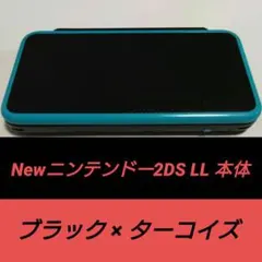 [動作確認済]Newニンテンドー2DS LL 本体 ブラック×ターコイズ