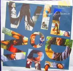 【レゲエ 大人気曲/EU原盤45】『Wild World』REGGAE