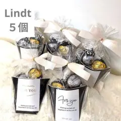 【即日発送‼️リンドールプチギフトホワイトデー お菓子高級チョコ 手土産リンツ