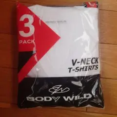 GUNZE【BODYWILD】綿100%のクルーネック半袖T3枚/L