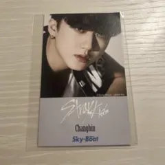 straykids チャンビン トレカ