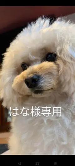 はな様専用オーダーページ♡